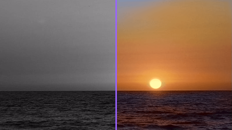 Algoritmia Colorize